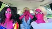 Superheroes Carpool Dancing In A Car! Spiderman vs Frozen Elsa - Joker Girl, Cinderella, Poison Ivy