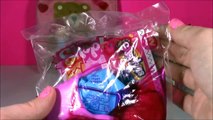 Disney FROZEN Lip Gloss! Anna & Elsa! Disney Princess Mailbox! Blind Bags Happy Meal SHOPKINS!