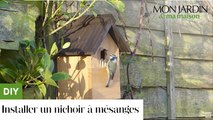 Comment installer un nichoir à mésanges ?