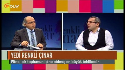 Yedi Renkli Çınar 27 01 2017