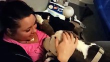 Elle sauve cette chienne en train de mettre bas, puis reçoit un cadeau incroyable ! (1)