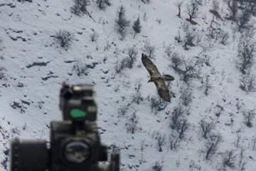 Bordo Bereliler PKK'nın Metina Kampına Sızdı: 57 Terörist Öldürüldü