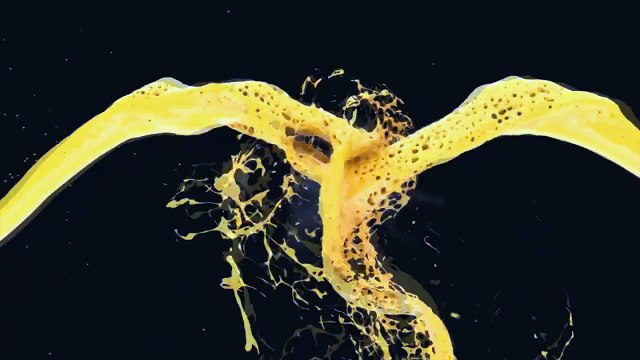 Фитнес для собак!