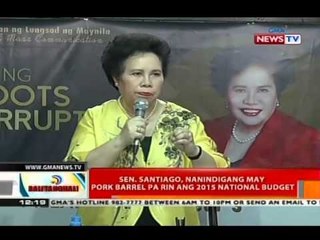 Sen. Santiago, nanindigan may pork barrel pa rin ang 2015 national budget