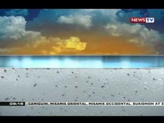 NTG: Klase sa ilang lugar sa bansa, kanselado dahil sa Bagyong Queenie