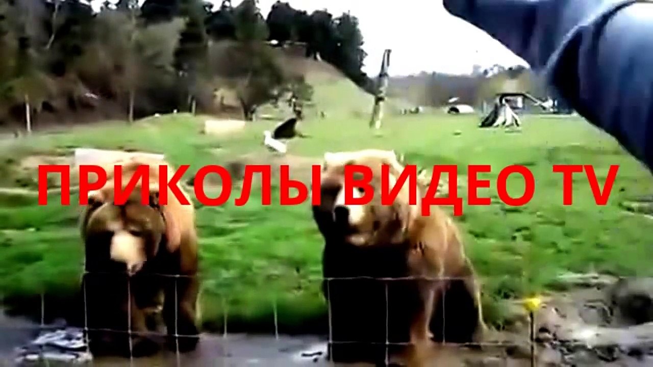 Приколы.Автомобиль против танка.