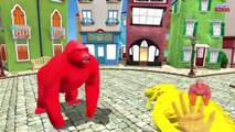 Superheros Ironman fat hulk Nursery song - Spiderman animals cartoon rhymes for Kids 3d