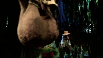Splash Mountain w_ All Animatronics Off (Disneyland)