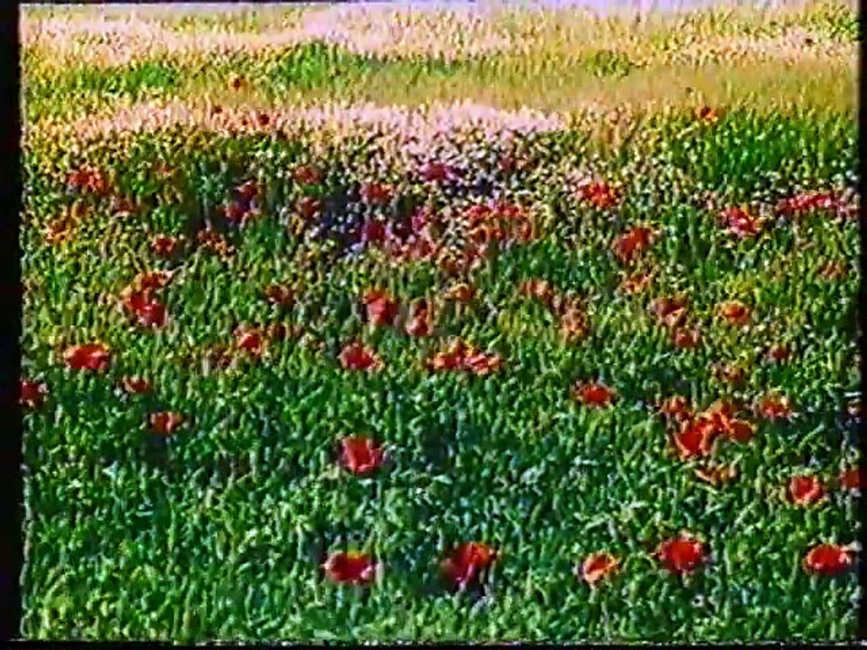 Vadvízország [Part-1]
