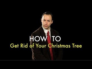How To: Get Rid Of Your Christmas Tree (a TUTORIAL by UCB's Pantsuit)