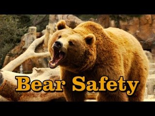 Simple Bear Safety Tips: a SKETCH by UCB's The Punch