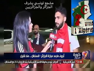 مشجع تونسي يصفع مذيعة مصرية من أجل الجزائر بعد تأهل تونس
