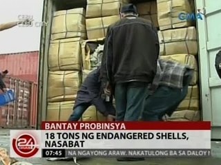 24Oras: 18 tons ng endangered shells, nasabat