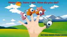 Daddy Finger Family Dinosaur - Nursery Rhyme Animation for Children -Dinosaurs Daddy Finger