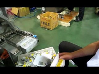 DXDC-10 China doubel Chamber Teabagmachine
