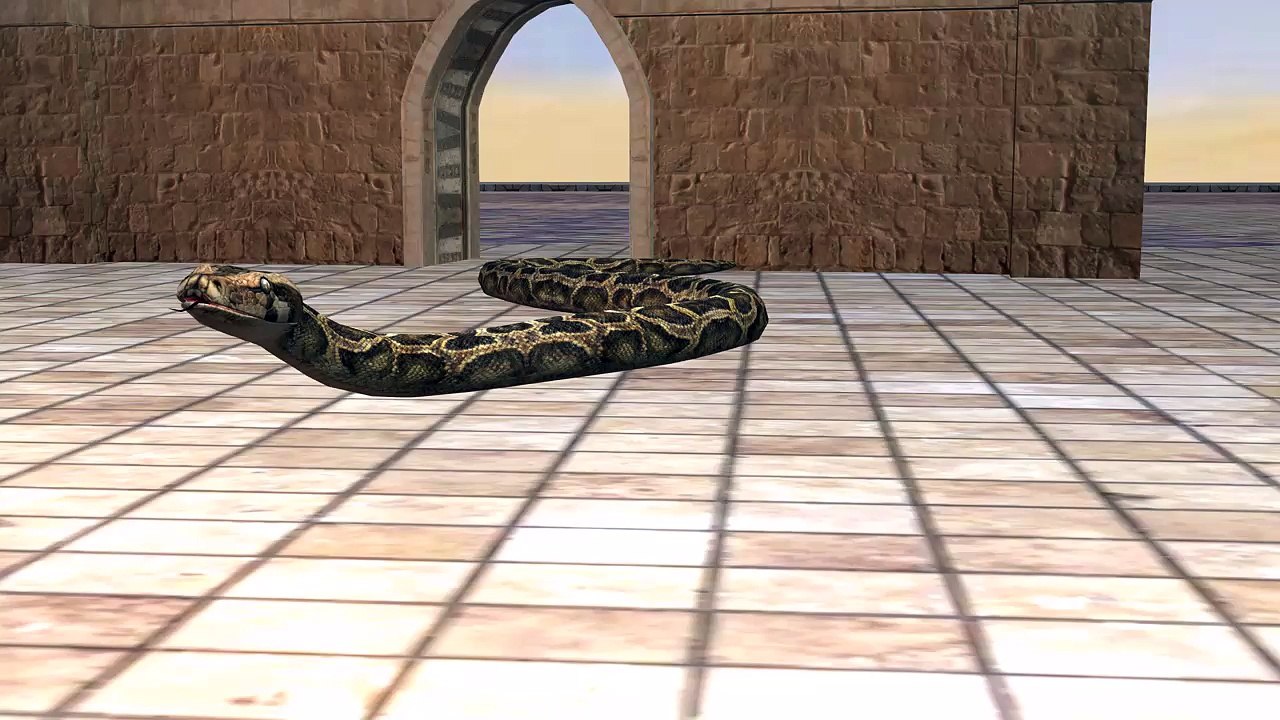 snake crushed