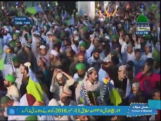 11. Bapa Jani Ilyas Qadri on 12 Rabi ul Awal