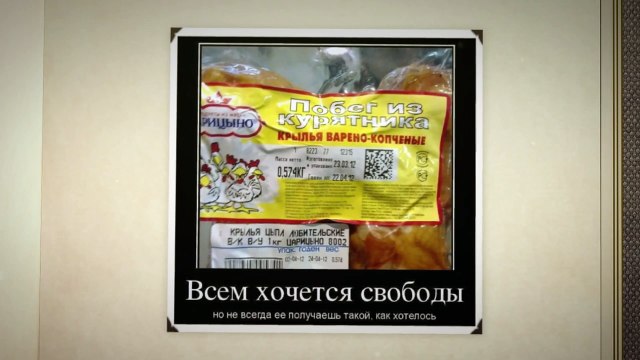 Смешные фото приколы #8