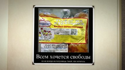 Смешные фото приколы  #8