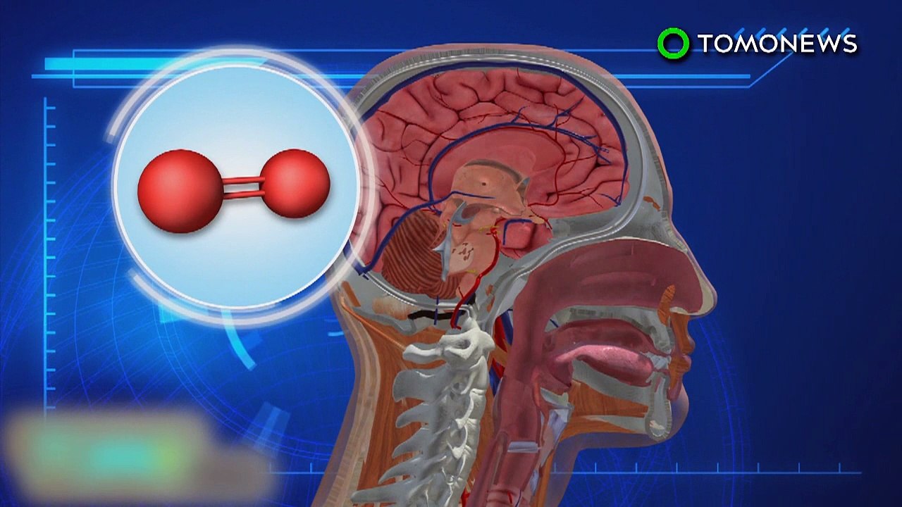 Cryonics poderia dar às pessoas uma segunda chance na vida.