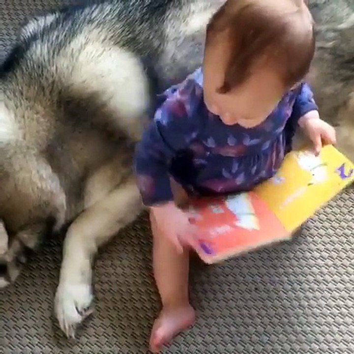 Un bébé lit un livre à son chien !