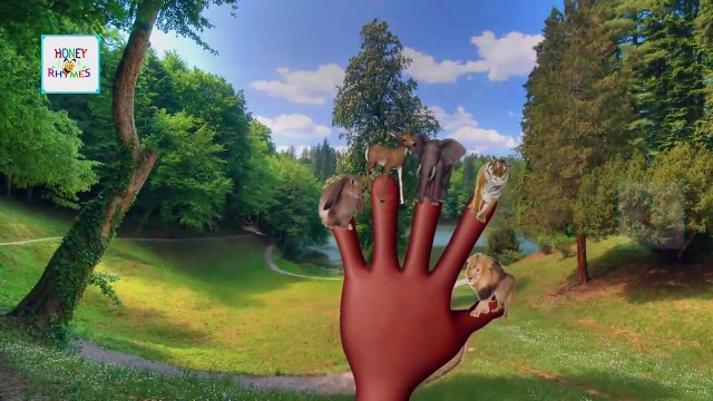 Finger Семья Животных Мультфильм Песни Коллекция | Красный Халк Монстр Бойцов Игрушка Потешки