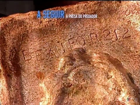 O Segredo das Coisas - Ouro - Canal Discovery