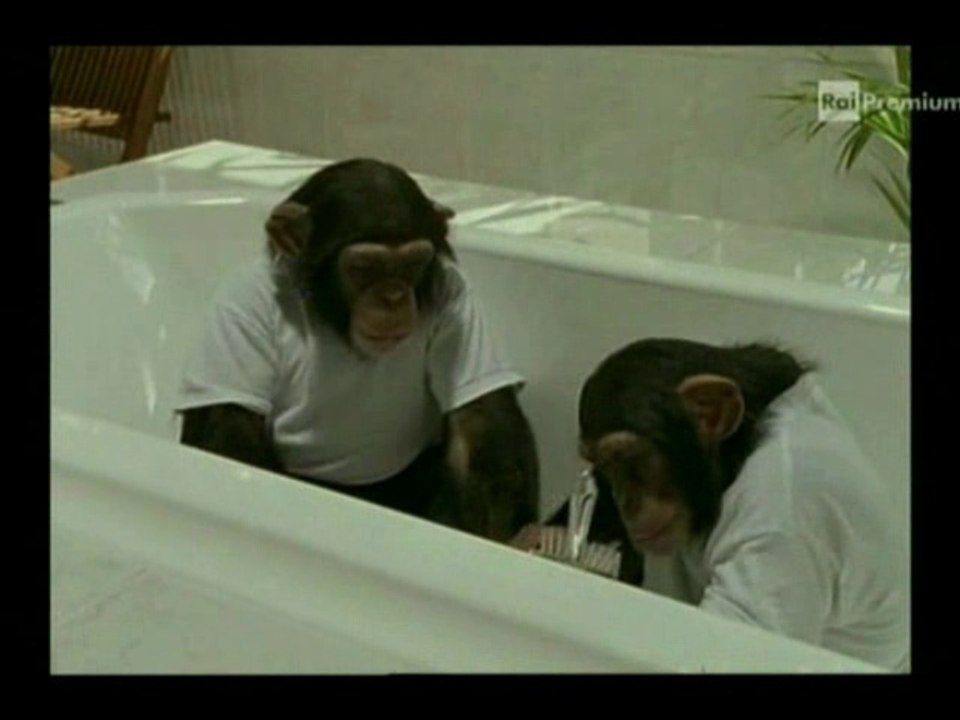 Il nostro amico Charly 2x09 - Un'amica per Charly