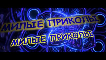 Забавные обезьянки.#2.Amusing monkeys#2.
