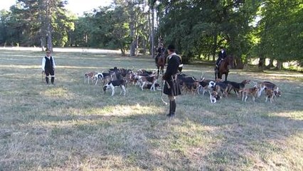 2e fete de la venerie du cheval et de la chasse: la...