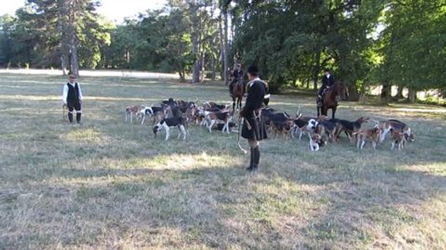 2e fete de la venerie du cheval et de la chasse: la...