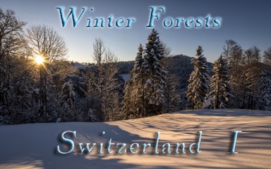 Bosques en invierno, Suiza. Winter Forests, Switzerland 4k I