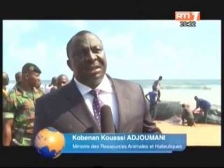 La baleine echouée sur les côtes de Bassam est morte