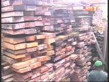 Lutte contre la fraude: plusieurs tonnes de bois sciés clandestinement saisis par la douane