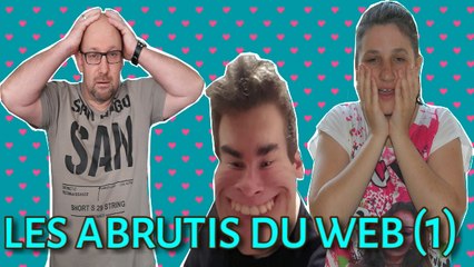 les abrutis du web (1)