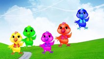 Cartoon Chick Finger Family Collections For Kids | Birds Finger Family Collections