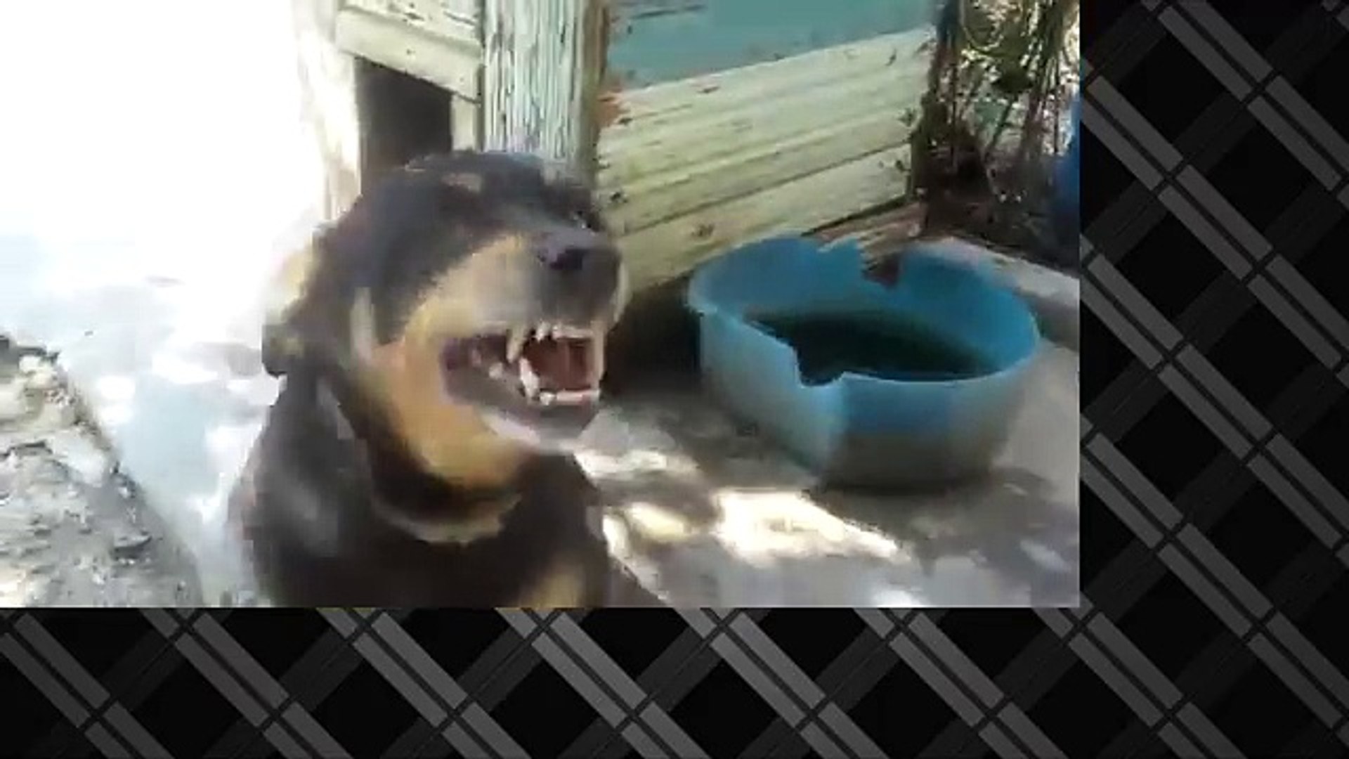 Самые новые угарные приколы! Подборка Приколов 2015