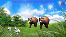Tiger Vs Bear Finger Family | Tiger | Bear | Animals Nursery Finger Family Songs