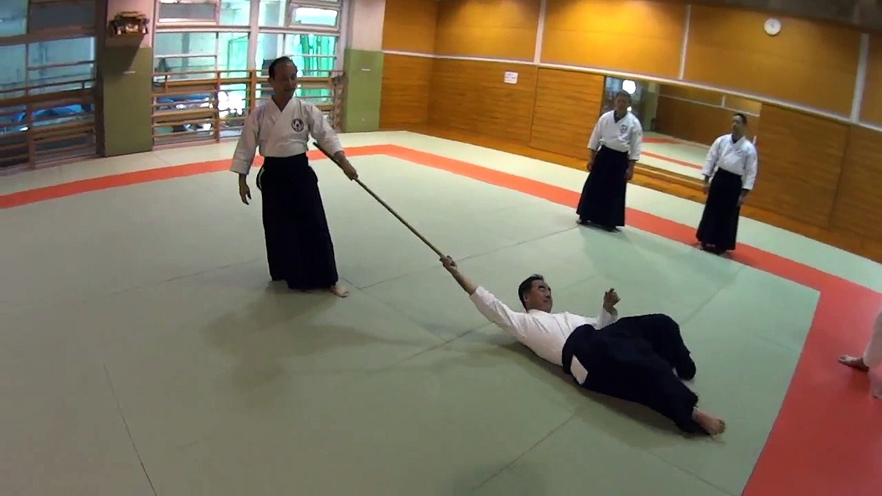 Aikido Techniques - How make unification