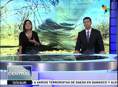 México: polémica tras llamada entre Peña Nieto y Trump