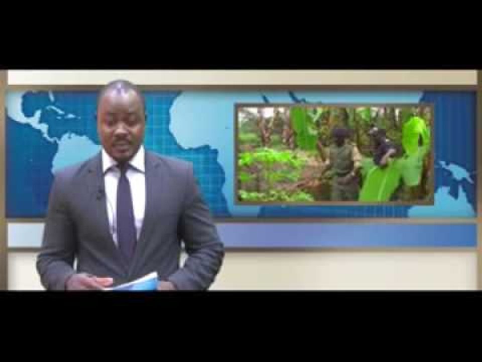 (Canal2) JT du 30 mars 2016