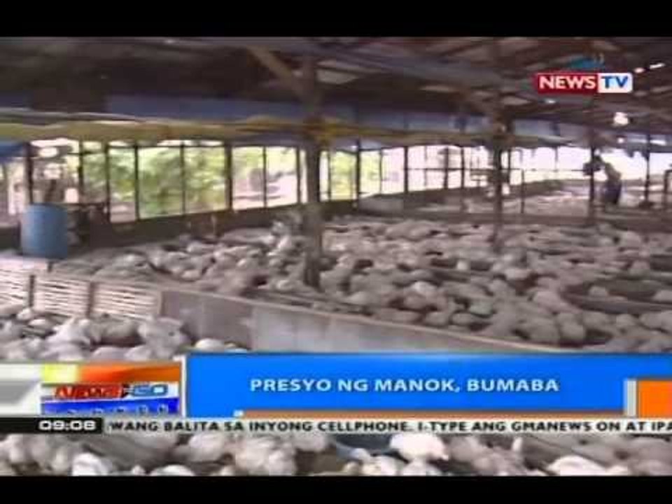 NTG: Presyo ng manok, bumaba
