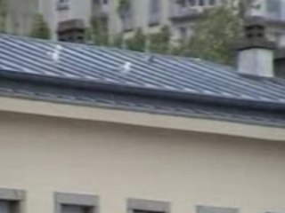 Les mouettes