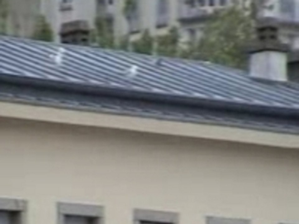 Les mouettes