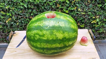 BOMBA DE GELO SECO vs MELANCIA