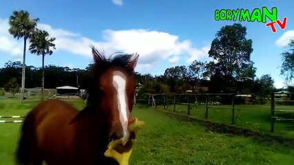 НЕ ДЕТСКИЕ ПРИКОЛЫ В СУЩЕСТВОВАНИЕ КОТОРЫХ СЛОЖНО ПОВЕРИТЬ