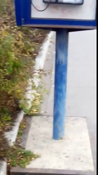 От радости телефон покрасил