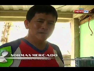 SONA: Industriya ng kesong puti, nanganganib na humina