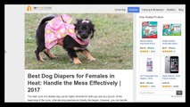 *** Best Dog Diapers for Females| Diaper Reviews