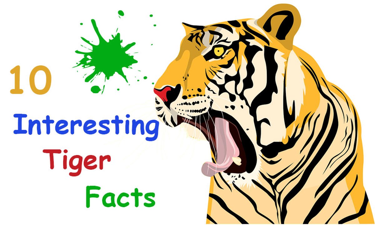 10 Interesting Tiger Facts